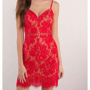 Tobi after dark red lace dress